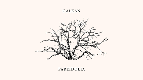 Pareidolia