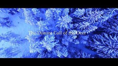 The Distant Call of the Deer