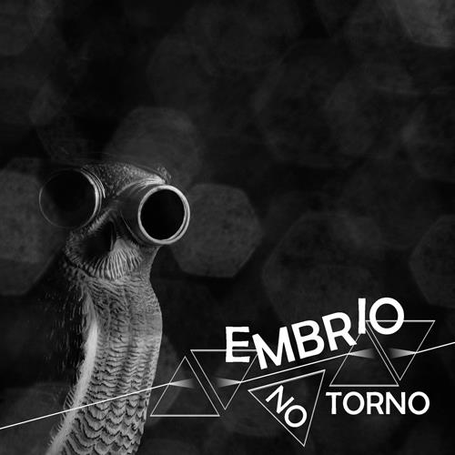 EMBRIO NO TORNO