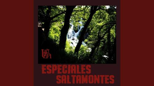 Especiales Saltamontes