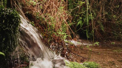 Xota Do Esquecemento