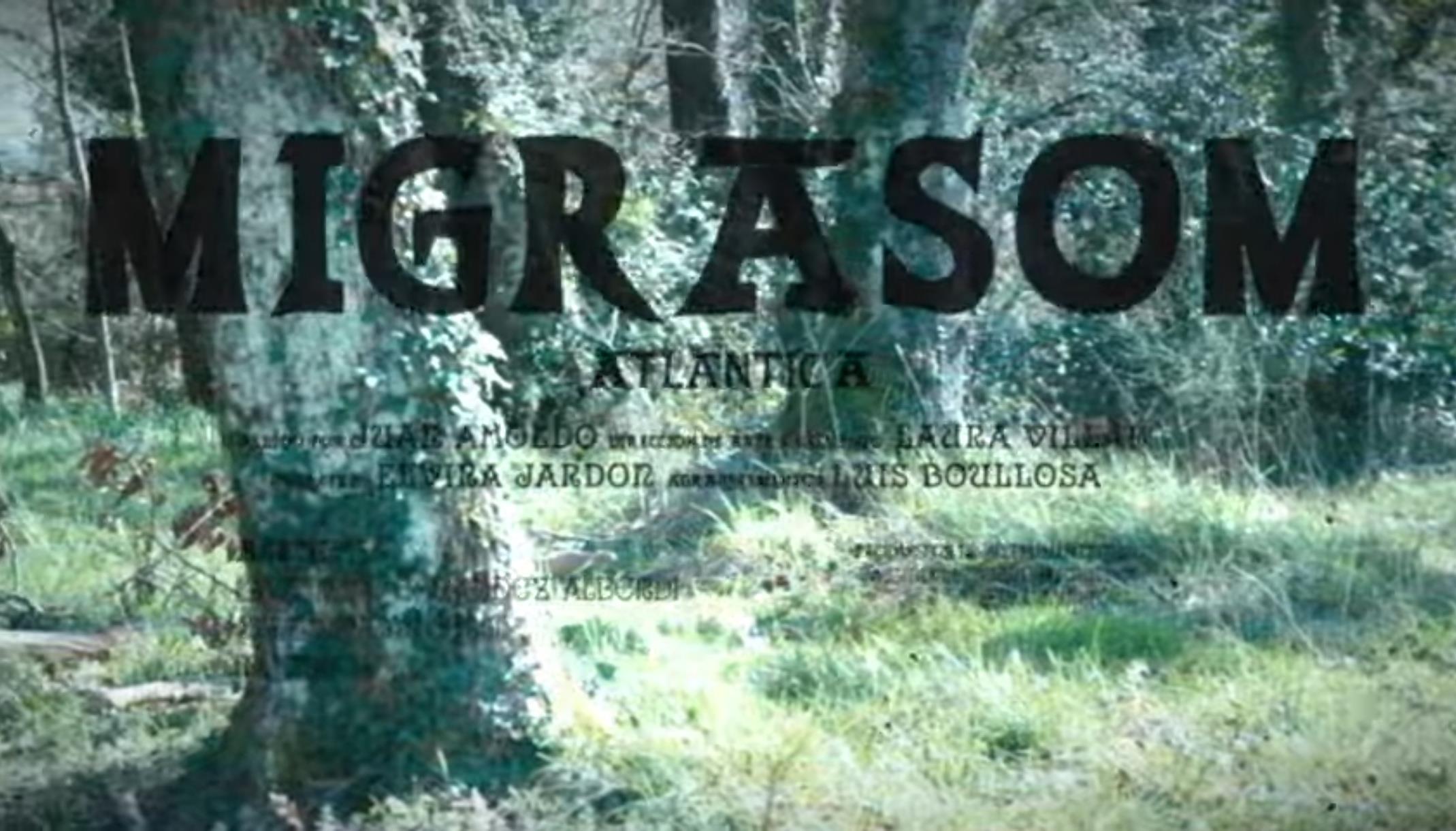 Migra Som
